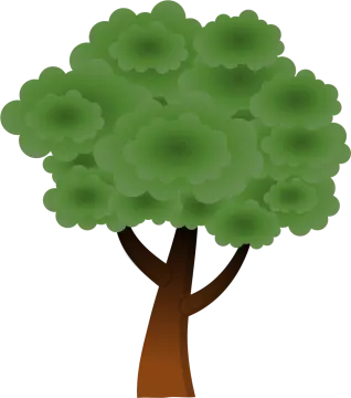 a tree with green leaves