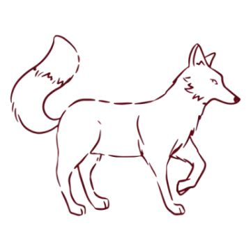 how to draw a wolf