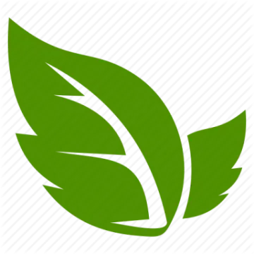 a green leaf icon