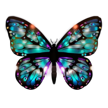 a colorful butterfly on a white background