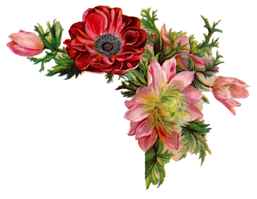 a bunch of flowers on a white background