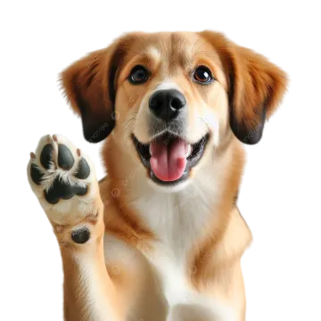 a dog with its paw raised up to the camera