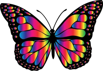 a butterfly with rainbow colored wings