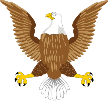 an eagle with its wings spread out
