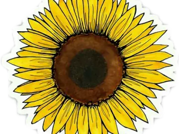 a sunflower sticker on a white background