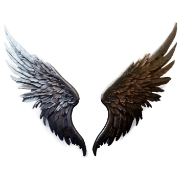 a pair of wings on a white background