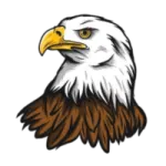 an eagle head with a white background