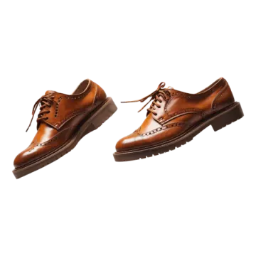 a pair of brown shoes on a white background