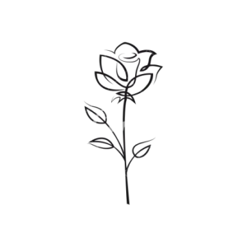 a black and white drawing of a rose