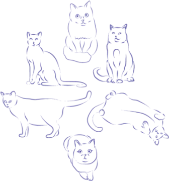 how to draw cats