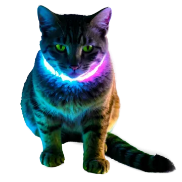 a black cat with green eyes sitting on the floor