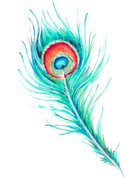 a watercolor painting of a peacock feather