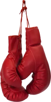 a pair of red boxing gloves hanging on a rope