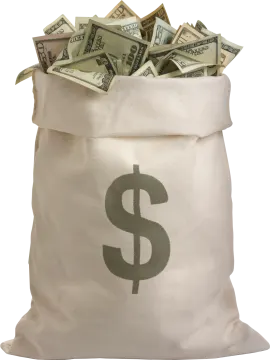 a bag full of money