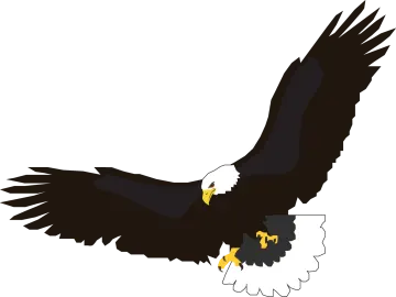 an eagle flying with its wings spread