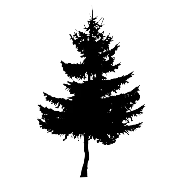 a black and white silhouette of a tree