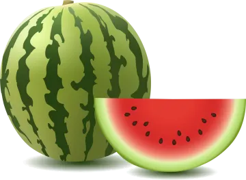 a watermelon and a slice
