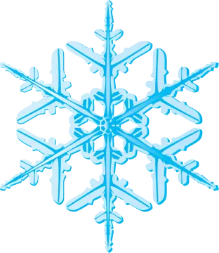 an image of a snowflor