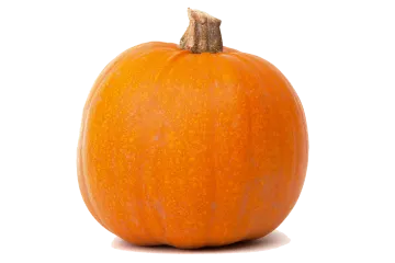 an orange pumpkin on a white background
