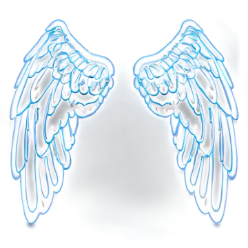 a pair of wings