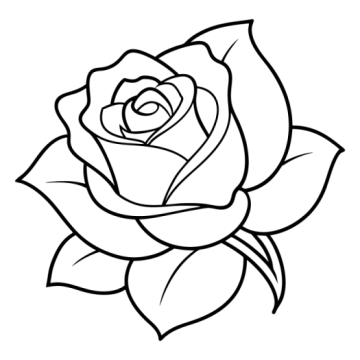 a black and white rose tattoo design