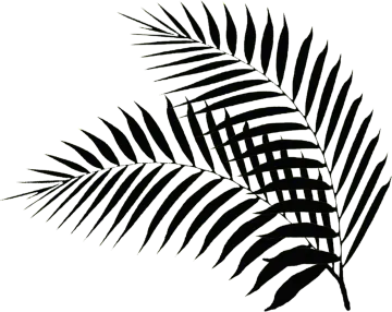 a black and white silhouette of palm leaves