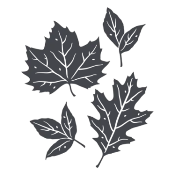 three black maple leaves on a white background