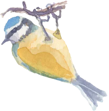 a watercolor painting of a bird on a branch
