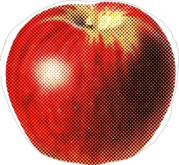a red apple on a white background