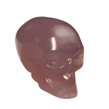 a brown skull on a white background