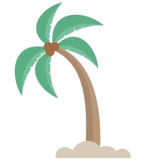 a palm tree on a white background