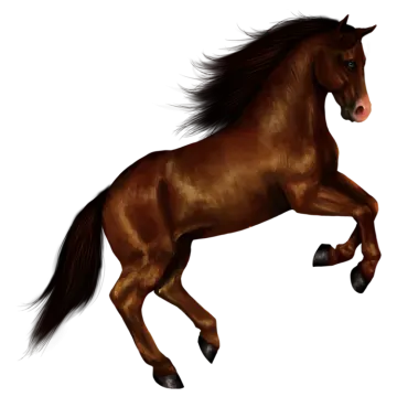 a brown horse running on a white background