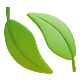 two green leaves on a white background