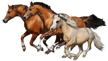 three brown and white horses