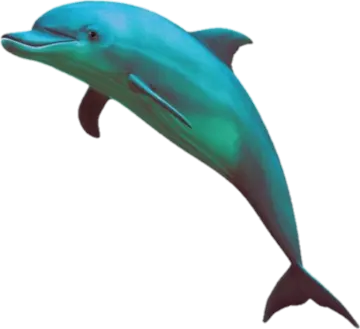 a dolphin jumping out of the water