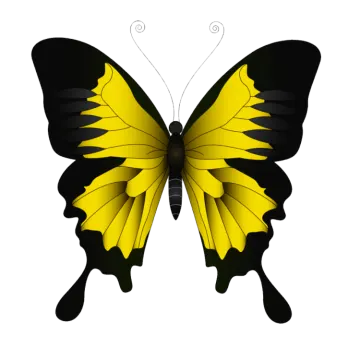 a yellow butterfly with black wings