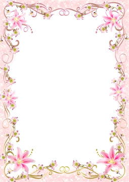 a pink floral frame on a white background