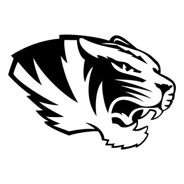 a black and white tiger head