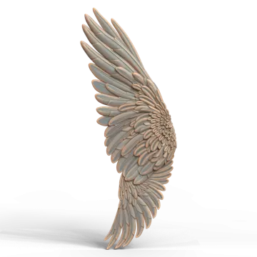 an angel wing on a white background