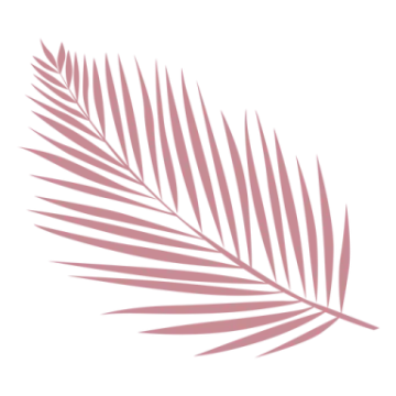 a palm leaf on a white background