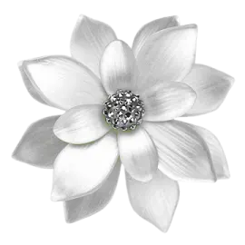 a white flower with a black center