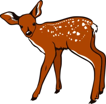 a brown deer standing on a white background