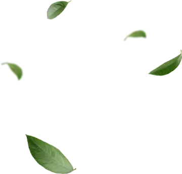 leaves flying in the air on a white background
