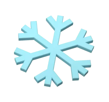 a snowflorer on a white background