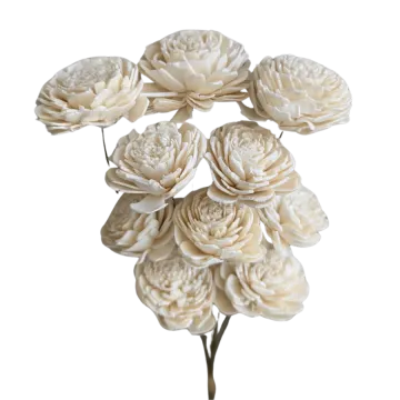 a bunch of white flowers on a white background