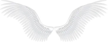 white wings on a white background