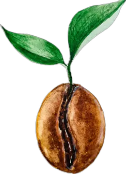 a drawing of a coffee bean with a green leaf