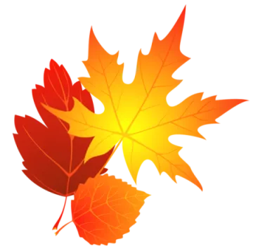 a pair of autumn leaves