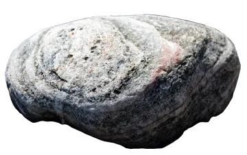 a rock on a white background