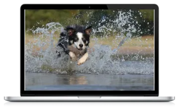 a dog running through the water on a laptop